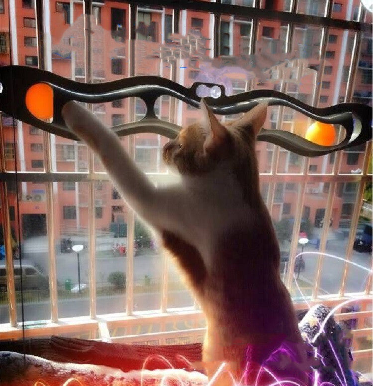 Why Your Cat Needs the Windowsill Pet Track Ball Toy